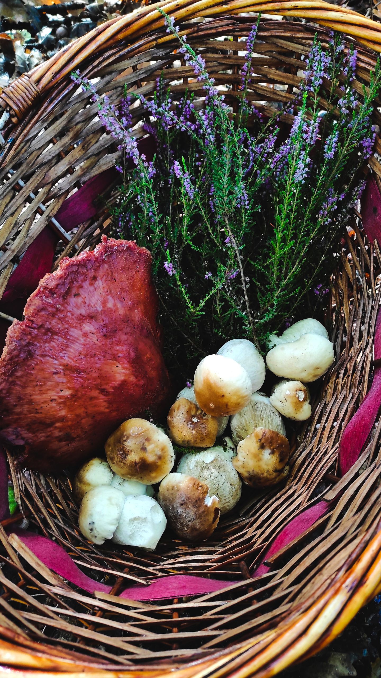A woven basket with fresh mushrooms and heather flowers, showcasing natural French countryside harvest.